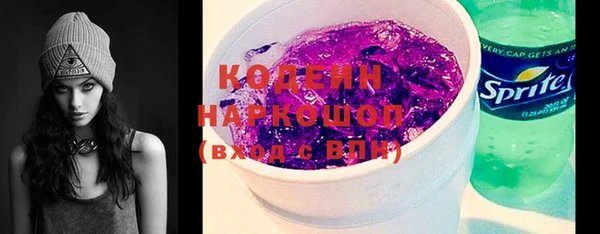 Альфа ПВП Няндома