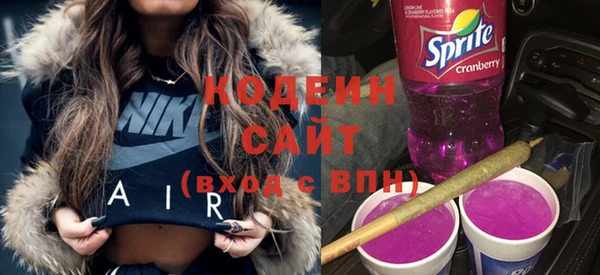 Альфа ПВП Няндома