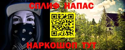 прущие грибы Заволжье