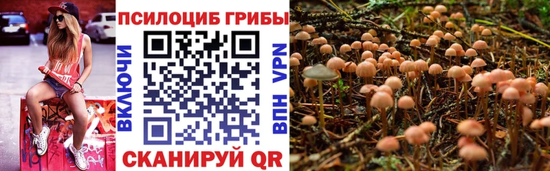 OMG ссылки  Муравленко  Галлюциногенные грибы мицелий 