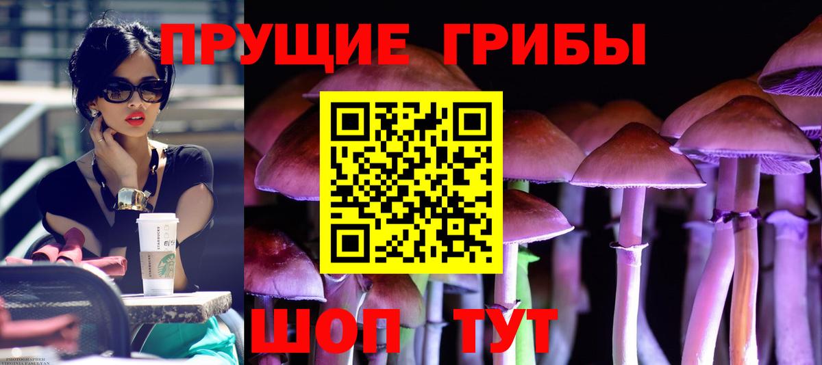 Псилоцибиновые грибы GOLDEN TEACHER  Вход с VPN  Муравленко 